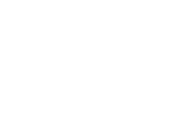 RSIB